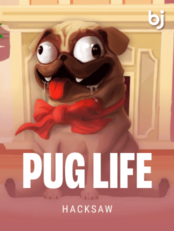 Pug Lifepng